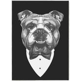 Painting by Numbers Dog with Glasses Black and White